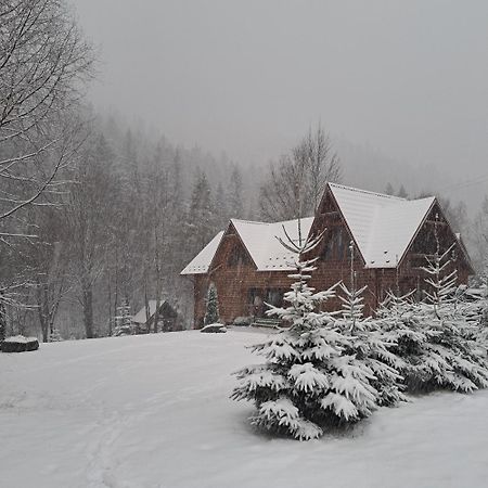 Зарінок Карпат Vila Mykulychyn Exterior foto